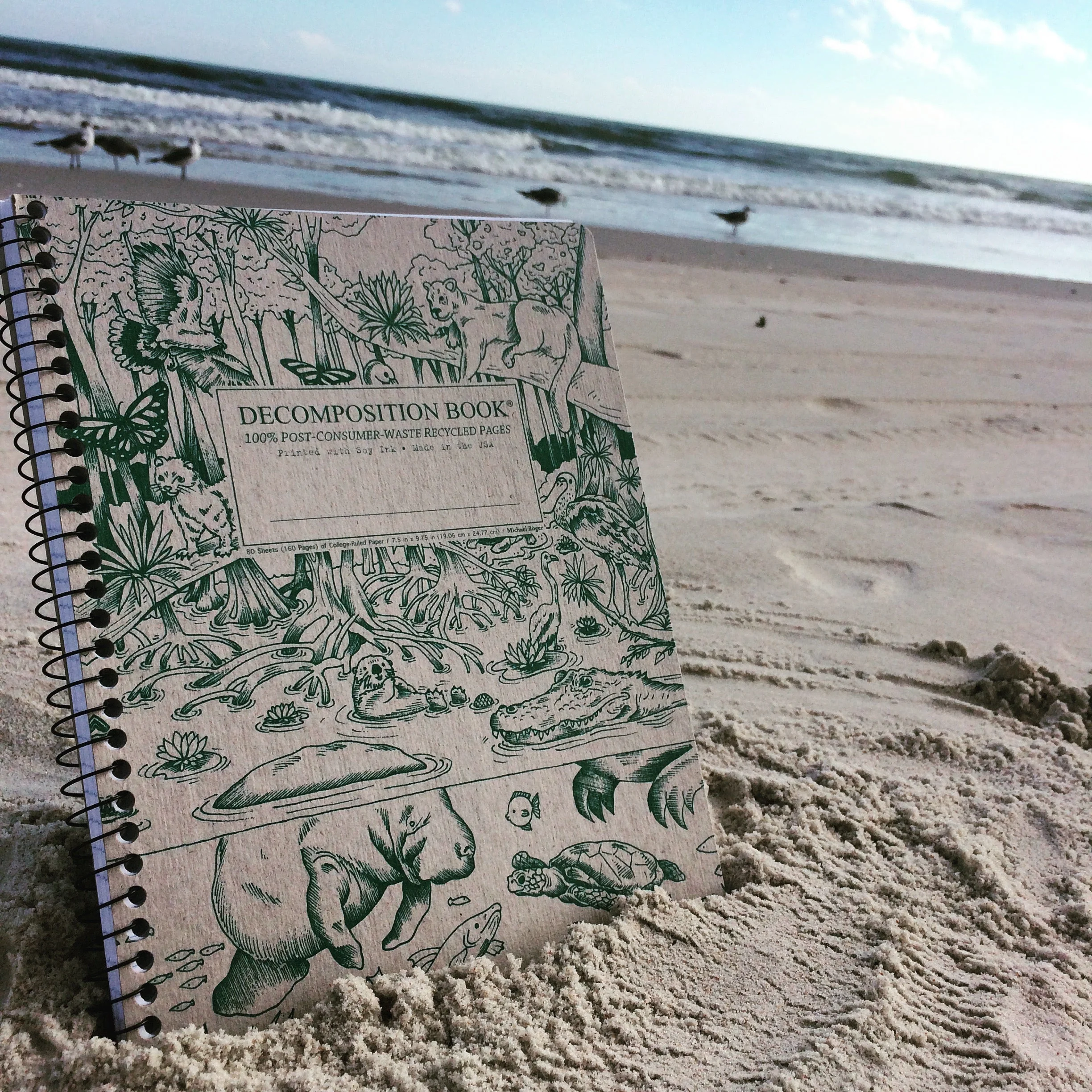 Everglades Decomposition Book - Image 4